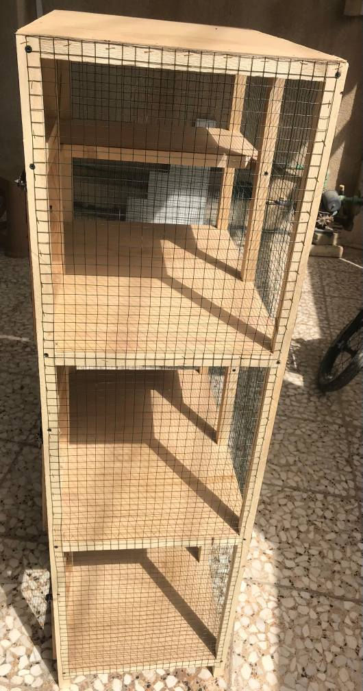 قفص جديد ٣ خانات الارتفاع متر و٤٠ والعرض٦٠سم والنزال٤٠سم موجود رف بكل خانه /كربلاء حي الانتفاضه الثانيه كربلاء, العراق


**إذا كنت صاحب هذا الإعلان وتريد حذفه لأي سبب، رجاءا أرسل رسالة إلى الدعم الفني**