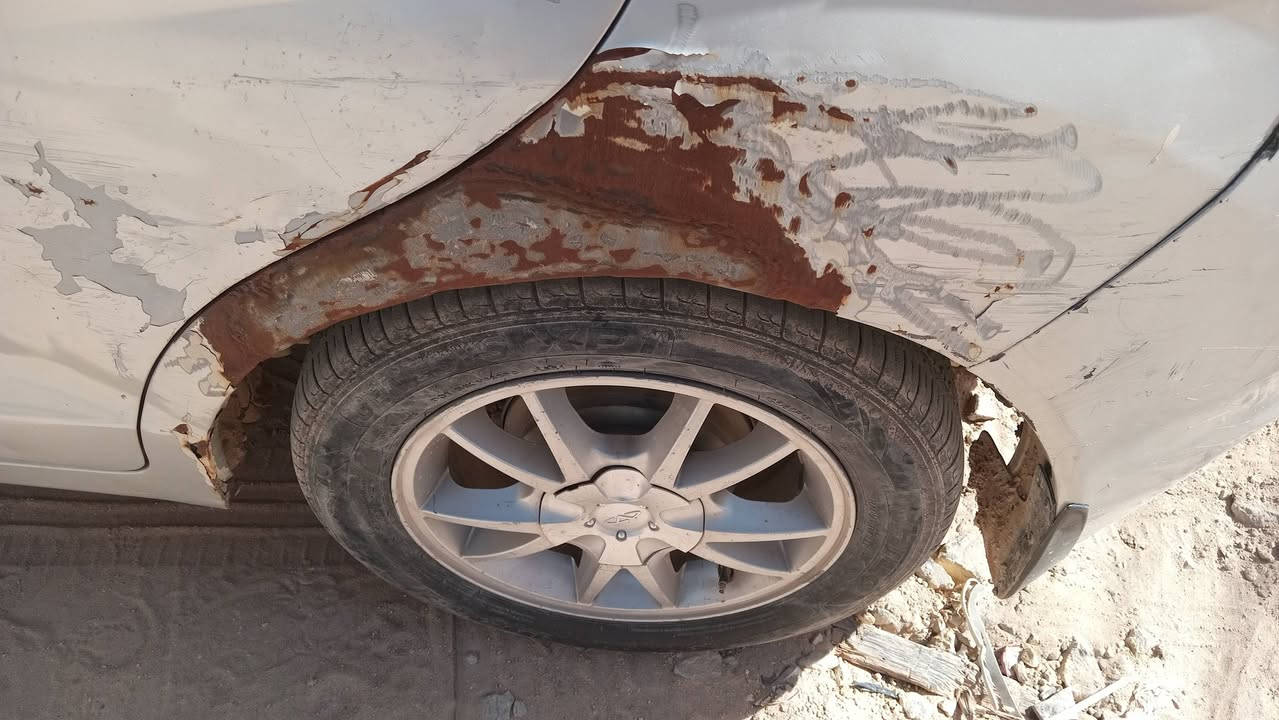 شيري فلاوين رقم بابل كير عاطل ابيع على وظعه سعر ١٥ ورقه داخل نظيفه حيل واتساب اتصال على هذه الرقم ***********
