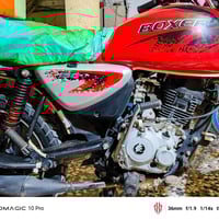 دراجة بوكسر 2023 • رقم بغداد • شهدا