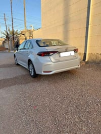 كورلا • ٢٠٢٥ • الرمادي