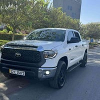 تندرا • ٨٠٠٠٠ كم • بابين