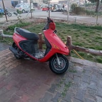 فراشه • فحل • الهاشمية بابل