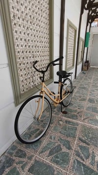 بايسكل بطة • نضيف • نجف الاشرف