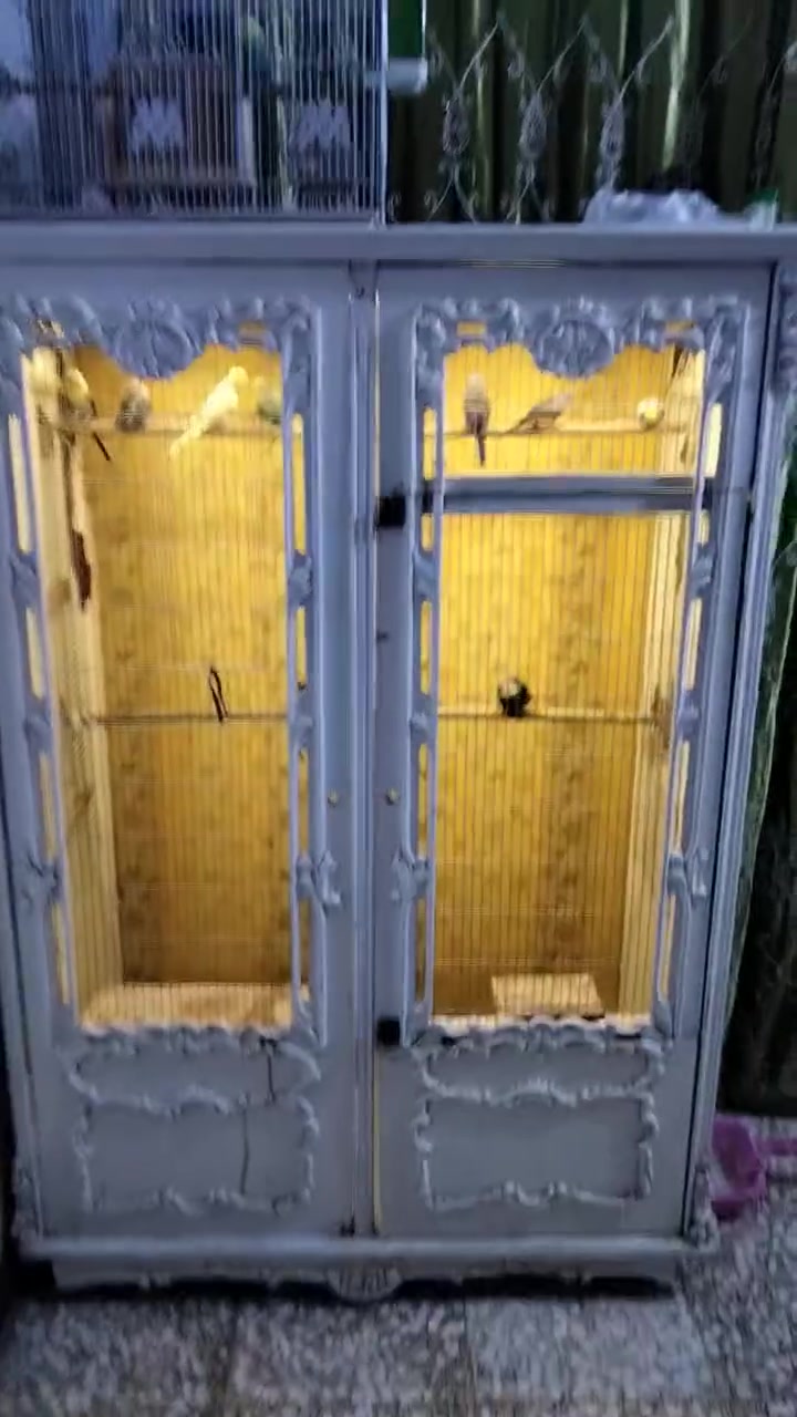 سلام عليكم قفص للبيع سعره 75 وبي مجال بغداد حي اور ***********
