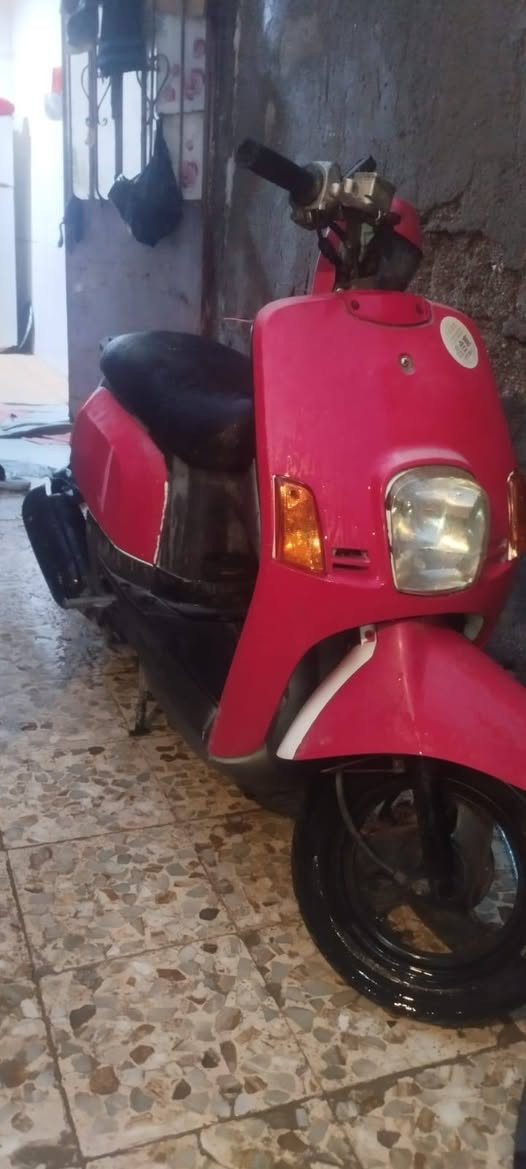 بوليس البيع مامفتوحه البيع او مراوس بعدله بقجمه عادي مكاني بصره


**إذا كنت صاحب هذا الإعلان وتريد حذفه لأي سبب، رجاءا أرسل رسالة إلى الدعم الفني**