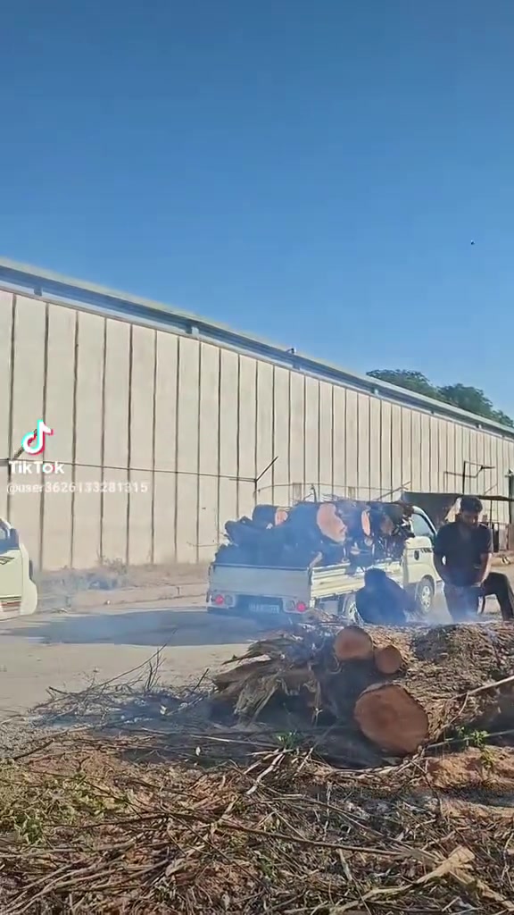 📢 خدمة قطع الأشجار ونخيل   في بغداد – الكرخ والرصافة 🌴✂️واتساب ***********
