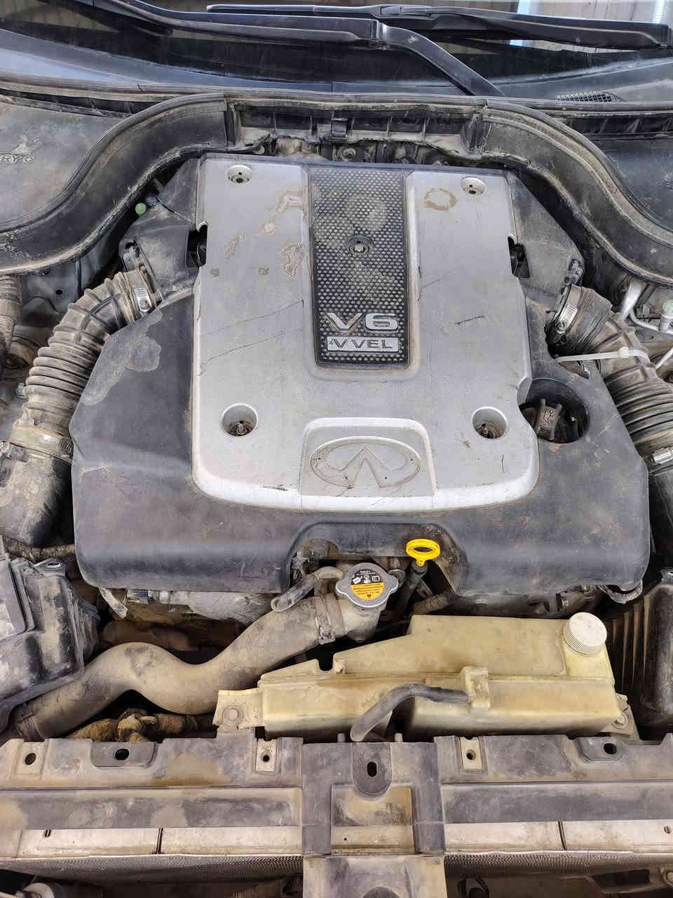 اسلام وعليكم سياره نيسان انفنتي غماره g37x موديل ٢٠١٣  شرط الوكاله وتحويل رقم بغداد صاحبها الشرعي بالموصل بيها مشكله بالگير وبيها قطعتين صبغ معارض مع بي ام واذا تكون محرك ٨ احسن  مكاني ناحية ربيعه ***********
