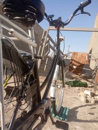 ٢٠١٩ • نضيف • نجف كوفه