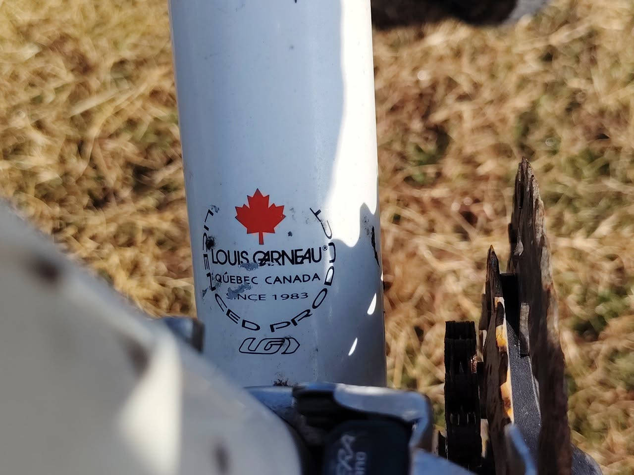 باسكل كيمو باله 26 عوزه بس سرج س 100 مكان ديوانية سدير


**إذا كنت صاحب هذا الإعلان وتريد حذفه لأي سبب، رجاءا أرسل رسالة إلى الدعم الفني**