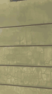 السلام عليكم خلفة لبخ متفرغ شغل درجه اولى سقل اجراره نثر تشميع تكنيد مصاطر ***********
