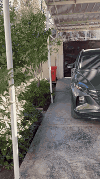 دار للبيع حي العامل المنطقه الاولى مقابيل مستشفى ومقابيل حي المعلمين طابو صرف باسم شخص واحد بيت قديم بس نظيف وينسكن بي واجهه 10 نزال 25 طابقين ثاني بيت عن الركن للاستفسار مراسله الصفحه او الاتصال***********
