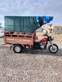 ستوتات • توك توك • فول