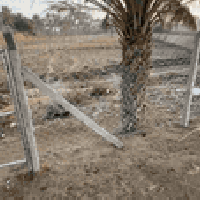 طويريج الرشيدة • ٢ دونم • سند ٢٥