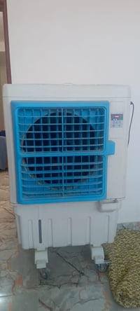 كنفيره • نضيفه حيل • شرط عالفحص