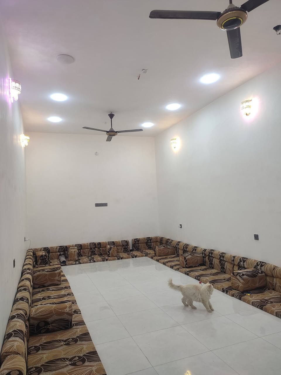 بسم الله الرحمن الرحيم
سلام عليكم .
بيت للبيع 200متر طابقين صب كونكريت بناء حديث .
.ساحب عليه اسكان 70مليون وباقي منهن 63 يريد يحولهن عليه ويدفع كل شهر 
وينزل سلفه من سعر البيت
العنوان .حي اور الثانيه .قرب مدرسه الجماهير . (   ناصريه )
البيت على ساحه وحديقه  .وشوارع كله تبليط .كلشي قريب عليك ومنطقه هادئه ومرتبه . البيت بسمي   
تواصل على رقم *********** 
البيت مرتب  الي يحب يتواصل وياي على هذا الرقم 
او ماسنجر
البيت بيه نقص .الدرج مامطبك  كهربائيات طابق ثاني 
سطح مامشتغله بعده  وغرفتين مامخمرات  والباقي كلشي جاهز 
وسعر 360 وسلفه تنزل من سعر الكلي يعني 290  وبيه مجال
..

..البيت بيه 

غرف عدد6 . .2جوه مساحه كل وحده 5×4  ....4غرف فوك وحده مساحته 8×4وحده 6×4،    و2 مساحتهن 4×5

دوانيه 8×4
صحيات عدد3 .2جوه واحد فوك 
صالتين وحده مساحته 8ونص×4  وحده 7×4
مطبخ 5×4
طارمه البيت تدخل بيه سياره 
  
صلو على محمد وآل محمد
اذا مو شراي لا تخابر وتسولف اهواي
