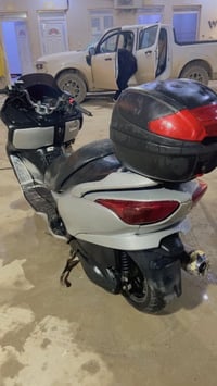 فورزه صفر • زوج زنون • بعقوبه