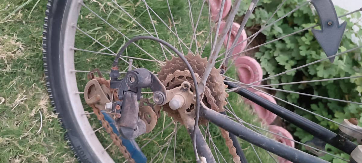 السلام عليكم
دراجة ikarus الماني اصلي
السعر 120 بس مجال 
مكاني السيدية 
*********** واتساب فقط
