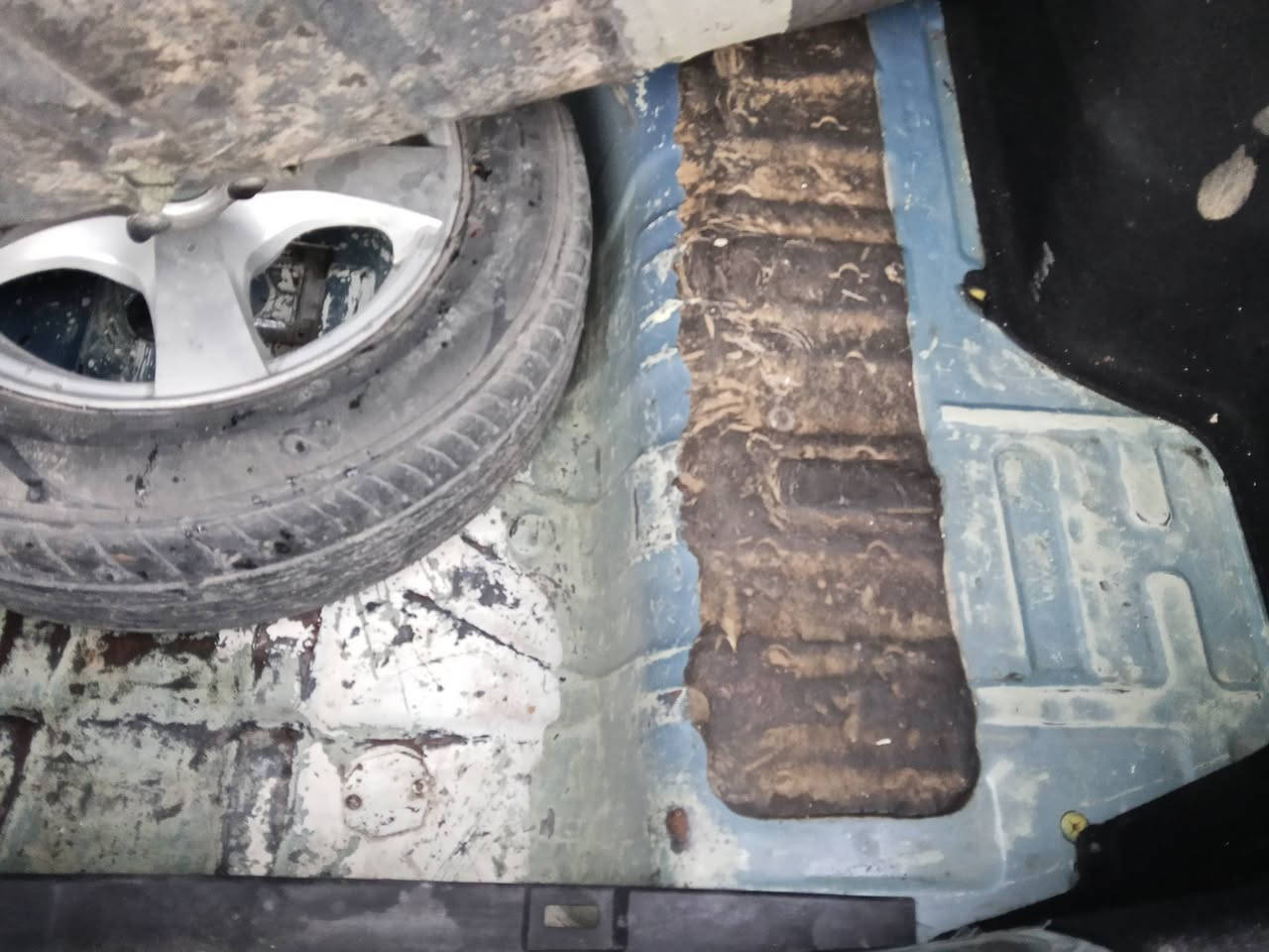 سلام عليكم ريو 2008 كندي ضررها الجاملغ الخلفي بدون دواخل سنويه لل30 بسمي انكليزي رقم نجف تواير جدد فول توماتيك سياره جديده الي مو شراي لايخابرني الرقم ***********اسيا***********
