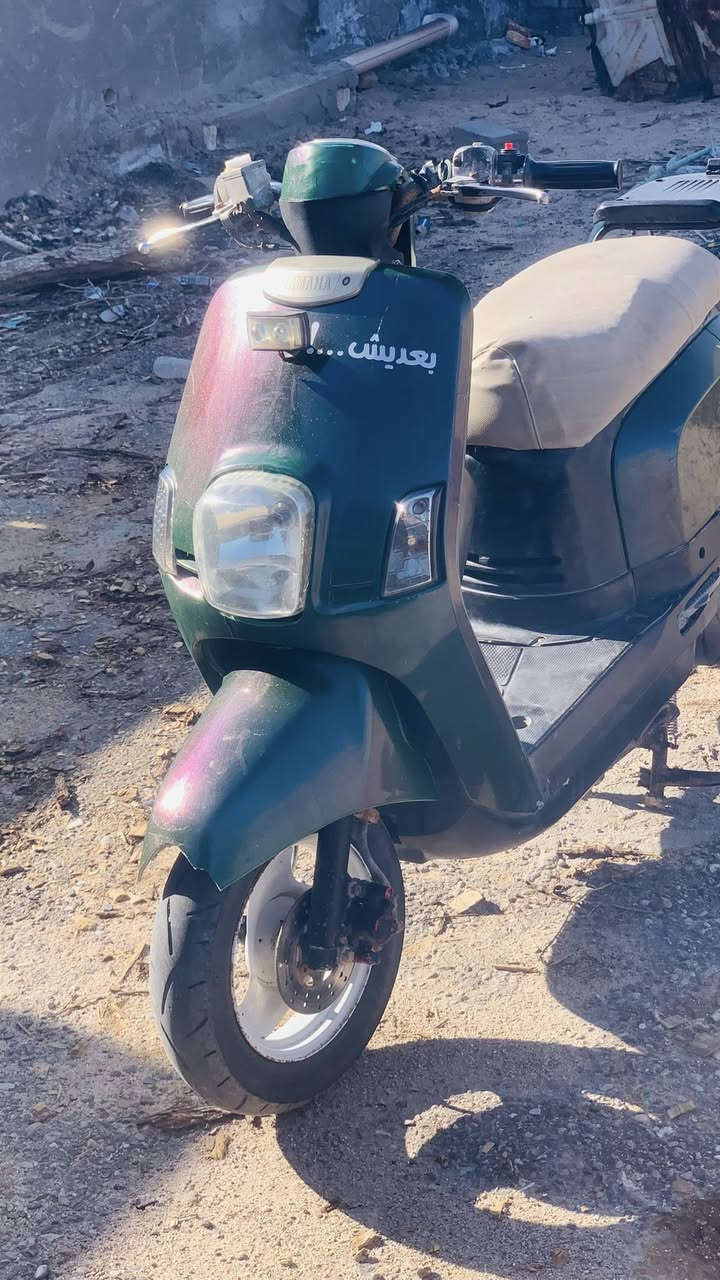 تفاصيل داخل الصور


**إذا كنت صاحب هذا الإعلان وتريد حذفه لأي سبب، رجاءا أرسل رسالة إلى الدعم الفني**