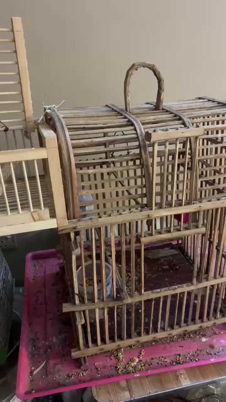 اخوان صيادات شغل مرتب درجة اولى ام الباب  القطعة ((بخمسه)) متوفر. توصيل.بغداد والمحافظات 
كلشي يصير بلابل فناجس كوكتيل طير حب اي شي


**إذا كنت صاحب هذا الإعلان وتريد حذفه لأي سبب، رجاءا أرسل رسالة إلى الدعم الفني**