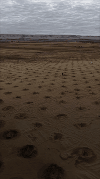 حجز رحله شهر رمضان المبارك 
في بلاد الحرمين ان شاء الله تعالى 
سأئلين المولى عز وجل ان يهل علينا شهر رمضان وآلامه العربيه والإسلامية بألف خير 
***********
***********
برنامج مختلفه ومتنوعة 
العشرالاولى من الشهر الكريم 
العشر  الاواخر من الشهر الفضيل 

فراس فخري حمد
