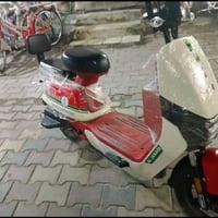 دراجة شحن • جديدة • بيها مجال