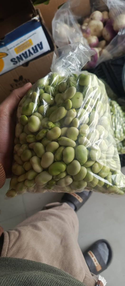 يالله 

رمضان كريم ان شاء الله 

توفرت لدى بركات الزهراء عليها السلام 

باگله مفلسه درجه اولى 

سعر الكيلو ب4000

توجد خدمه توصيل (***********)

عنواني واسط صويره حي الاسرى شارع مدرسه النهرين مقابل مدرسه النهرين.

نعمل لخدمتكم وارضائكم 🩵
