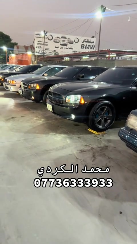 #bmw #dog #شعب_الصيني_ماله_حل😂😂 
