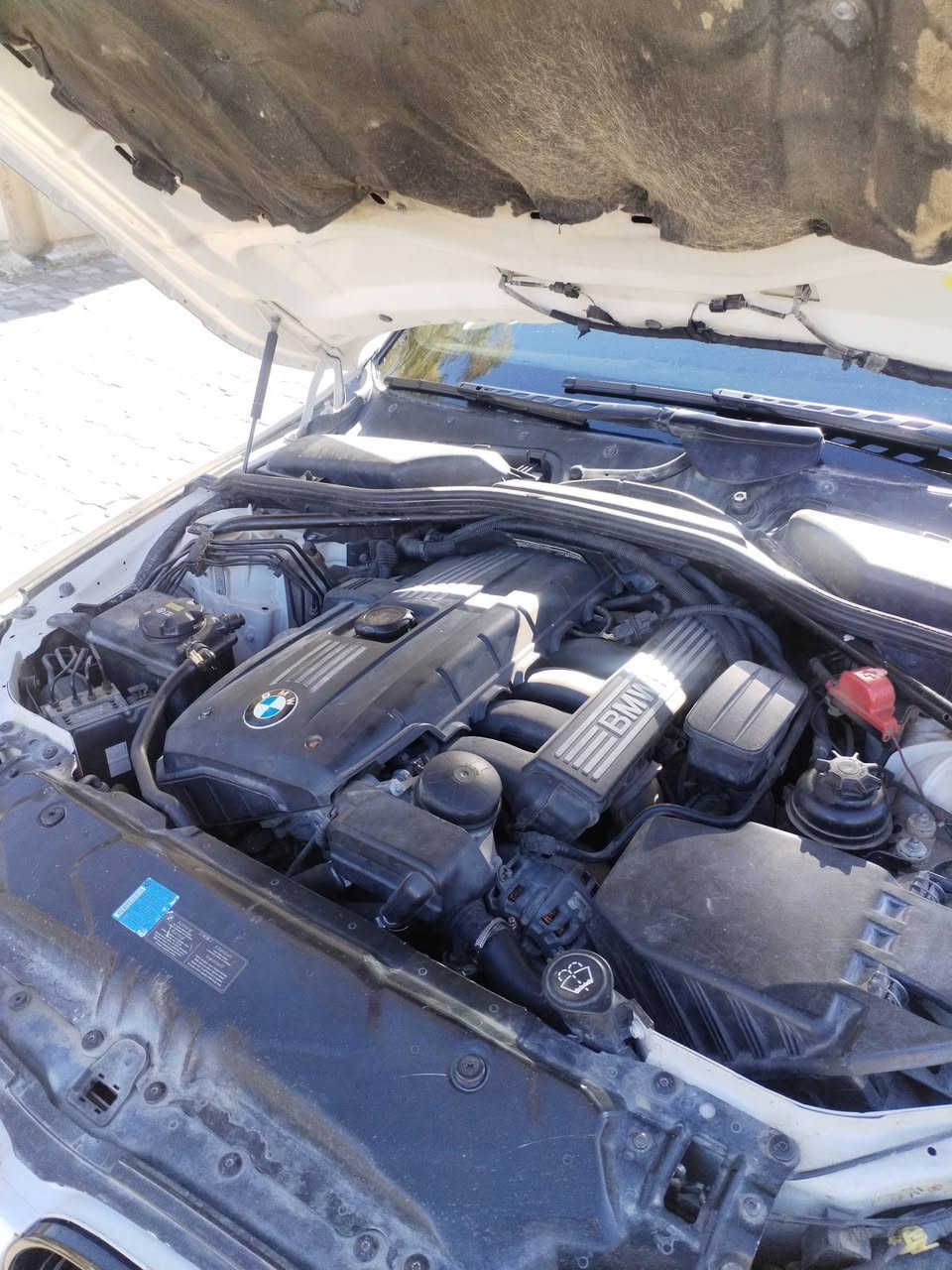 Bmw 530i Mpakech 2008 n52
سیارە فول فول مواسفات

سلاید

٥ بردات

کوشن جلد. هیتر. سیاحی. کهربای

کیر کوبرا

ویل هامان ٢سايز جدید

تحکمات ستیرن

تحدید سرعە

بسمە

لایتات زینون

لایتات ئوتو

فلجات ئوتو

تبرید مرکزی. تبرید قطعتين

هیکل و داخلی کامل م

سیرفس عام. دهن محرک جدید. دهن کير جدید.

 باتری جدید بیە ضمان سنه. تايرات جديد. حداديه جديد

رقمو سنويه فحس و هزه جديد

سيارة باسمي تحويل وكالة نفس اليوم

 كير محرك بشرط

مابيها اي مسرف

سبخ؛جاملغات امامي  ويه هیلال جاملغ سكن خلفي

بدون ظربه بدون دواخل بشرط

مكان؛ اربيل

 سعر؛$١٣٥ بيه مجال

رقم تلفون. واتس اب:***********
