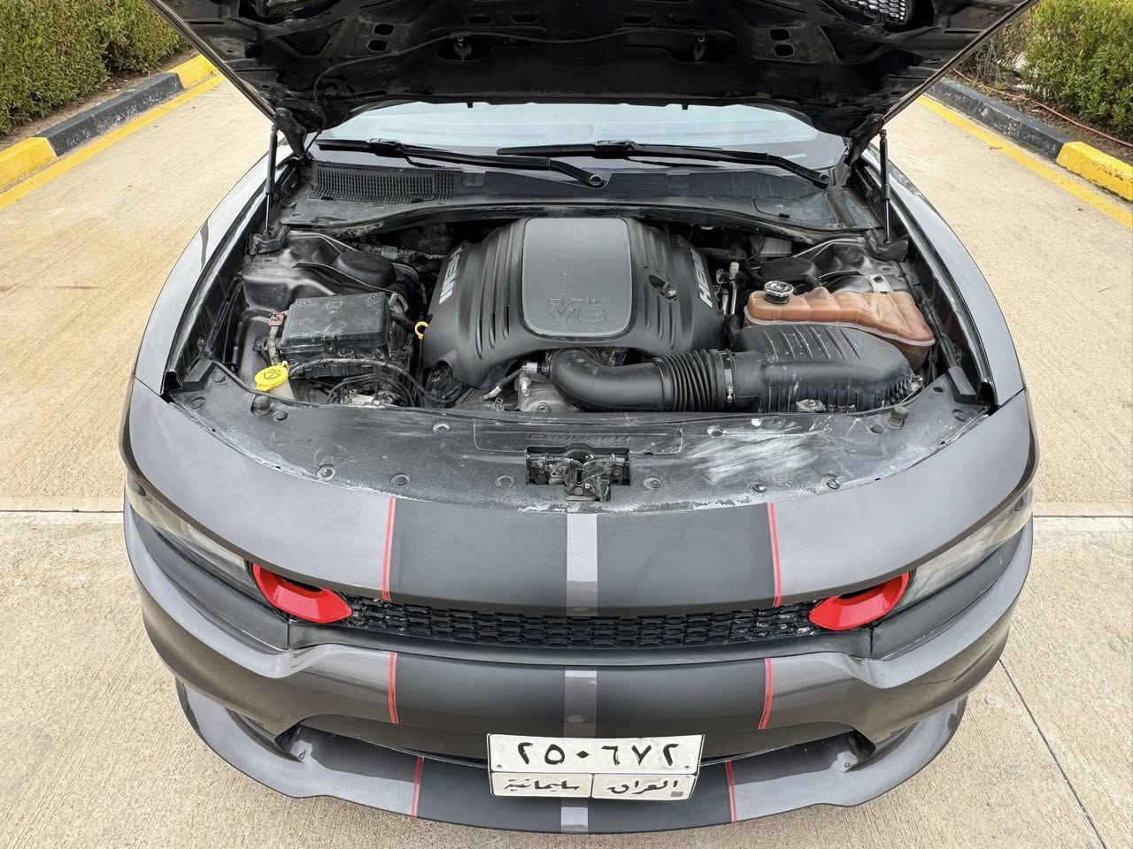 (﷽)
للبيع 
موديل 2018  R/T 
محرك 5.7  🚀
شاشه جبيره  car play - شفتات ستير 
كشن كهرباء كشن تدفىه 
بصمه بيبان - تشغيل بعد 
حساسات خلفيه 
بنيد SRT  + بنيد بلادي هم ويا بدون صبغ البنيد 
والدعاميه هم وياها بدون صبغ 
وياله وتايرات تخم جدد + جنح خلفي 

مابي نقص من كل النواحي
كير محرك اكسل شرط وضع البلاد برغي ممفتوح بيهن 
كهربائيات شرط ولاكلوب يشتغل بسياره 
حجر بيئه شرط ع فحص بلادي 100/100

ملاحضه - بدون صبغ السياره حادثه دعاميه امامي فقط ايرباك طاك وراجع سستم 
رقم الشاصي موجود والي مكدر يطلع صوره يجي خاص ادزليا لان متطلع اله بفلوس 

ماشيه 64 الف ميل 
هزه جديده تحويل ثاني يوم اجي ابصملك 
مكان السياره سليمانيه 
سعره 188 ورقه 
***********
