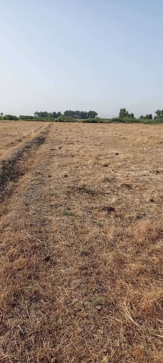 السلام عليكم ارض زراعية درجة اولى للبيع،12دونم عقد ايجار تبعد عن التبليط كيلو وربع مياه متوفر شتاء صيف العنوان الخميسيه السعدان@ هذا رقمي ***********
