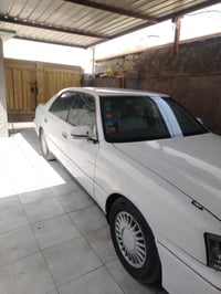 رأس ثور • بابل • تاير جديد