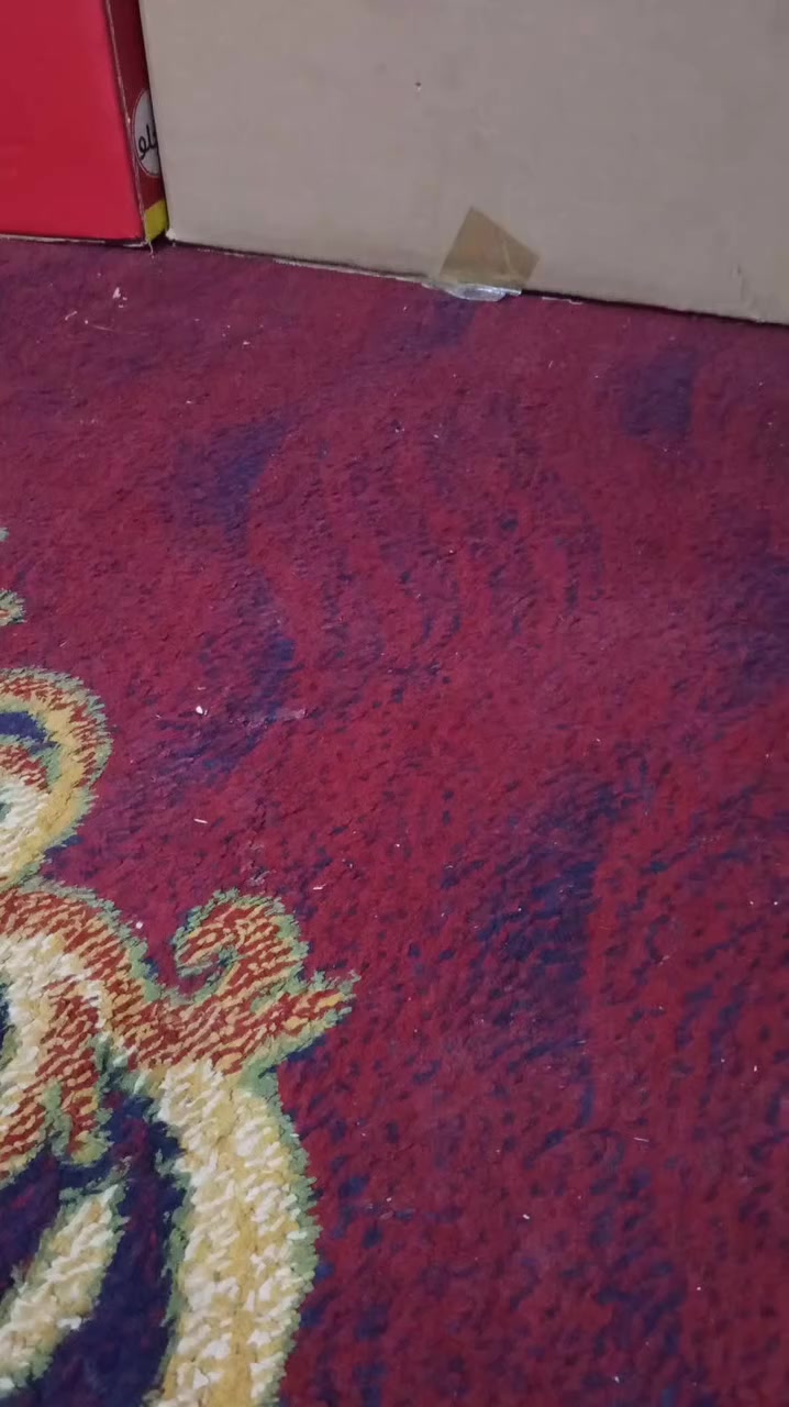 حذاء رياضي من امزون قياس 45 لون مميز جدا السعر 8000🔥يتوفر توصيل 5 لكل انحاء العراق


**إذا كنت صاحب هذا الإعلان وتريد حذفه لأي سبب، رجاءا أرسل رسالة إلى الدعم الفني**