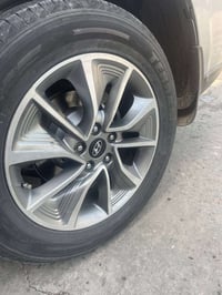 ويل ١٨ • سنتافيا • مراوس