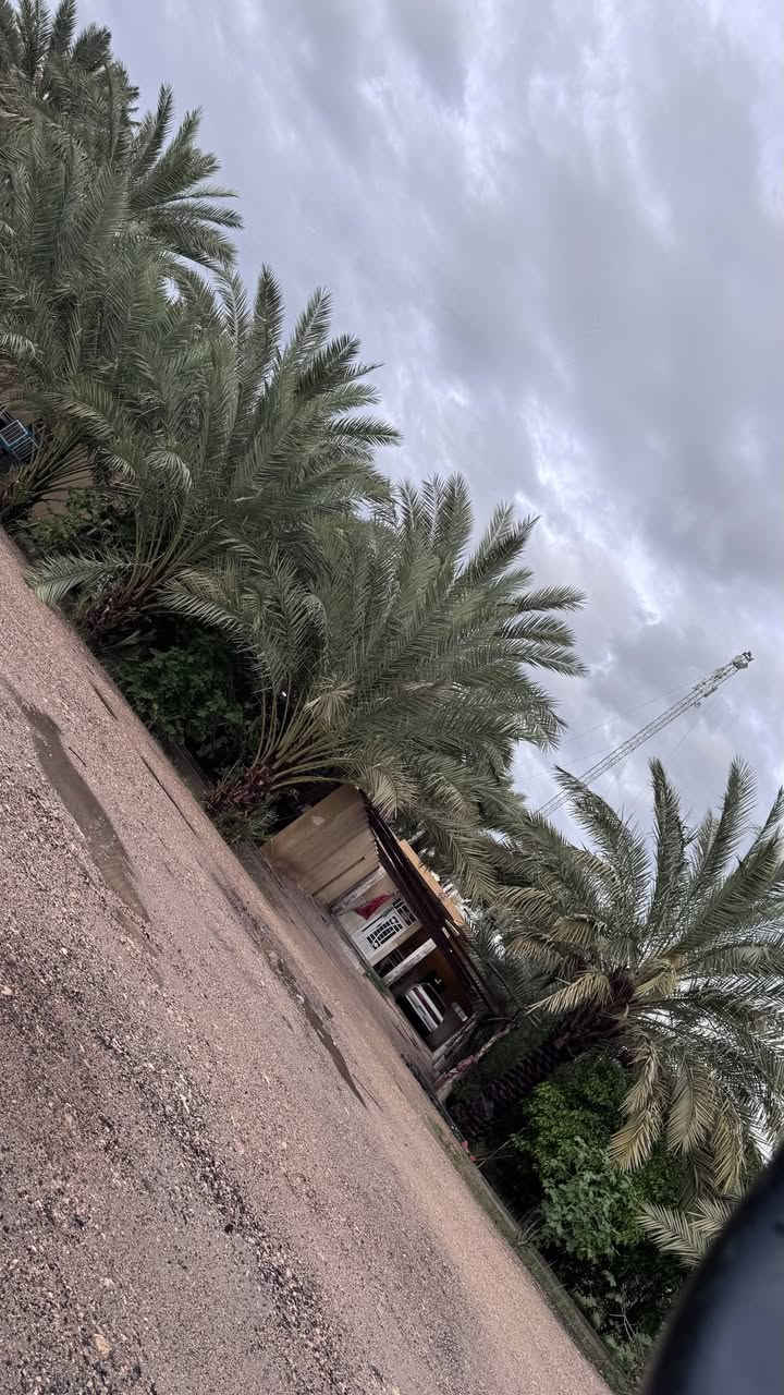 5 دوانم للبيع (سند 24 ومفوض بالطابو)
ضمنهن 2 بيوت بمساحات 400م + 150م
موقعهن على طريق النجف - كربلاء
خلف الحسينيات ، قرب جامعة الزهراوي ، مقابل شركة الجود عمود 1145 

يبعدن عن الشارع العام 500 متر 

خدمات كاملة وتبليط للباب

موقعهن على الخريطة : 👇🏻
https://maps.app.goo.gl/HYvjs7X9apZTtEvs8?g_st=atm

التواصل واتساب فقط : 👇🏻
***********
