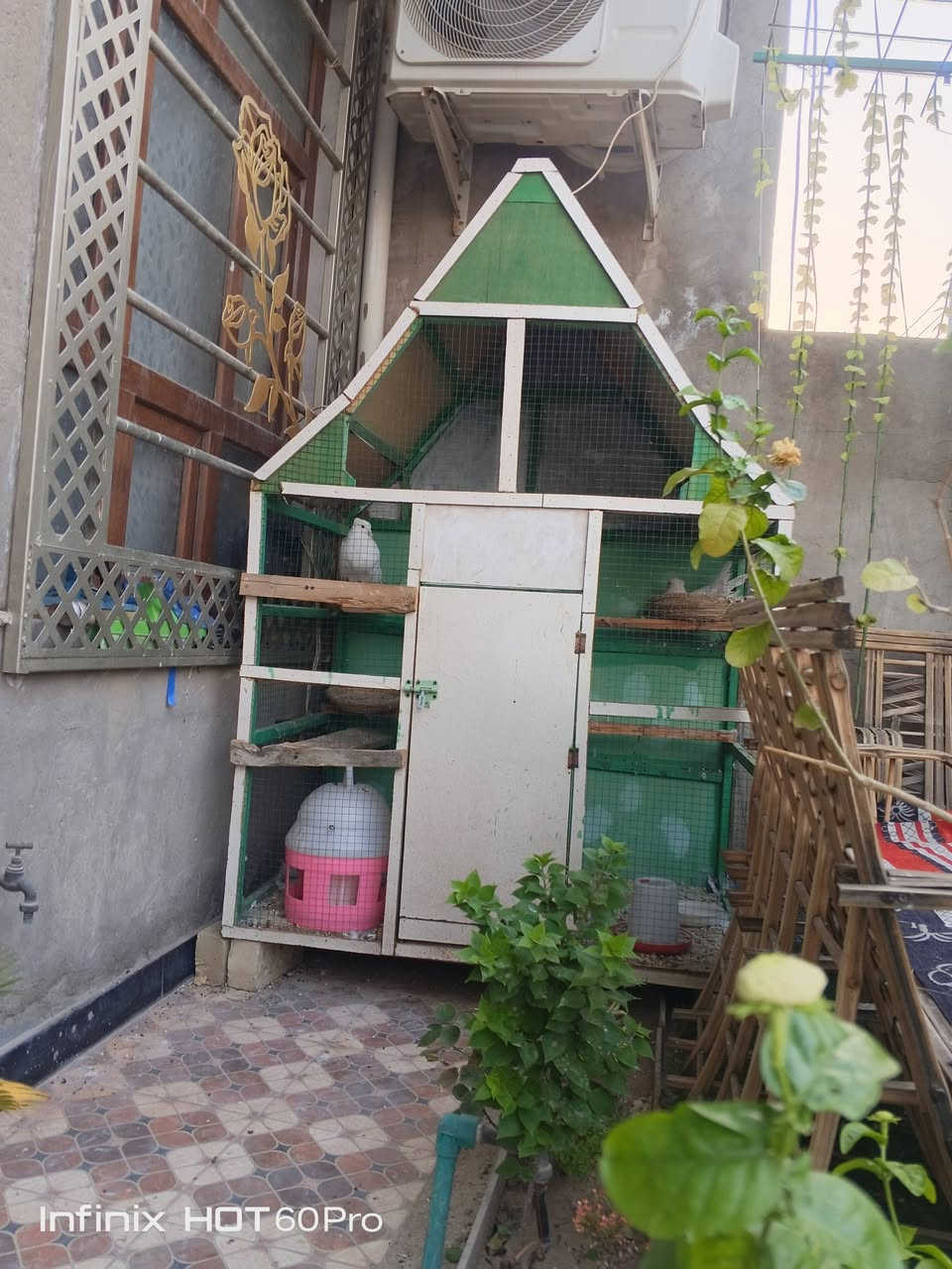 سسلام عليكم
قفص حجم كبير + يحتوي على ساقيه ماء وطعام وعش + طيور عرايس نشة وفحل) للبيع

🏵️السعر : 70

🏵️المكان : بعقوبة باب الدرب


**إذا كنت صاحب هذا الإعلان وتريد حذفه لأي سبب، رجاءا أرسل رسالة إلى الدعم الفني**