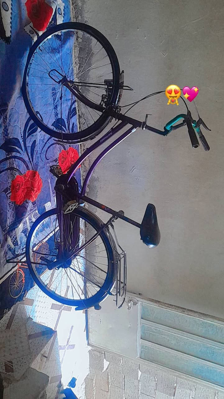 باسكل البيع الستفسار التصال عل الرقم *********** الحجم ٢٦ نضيف
