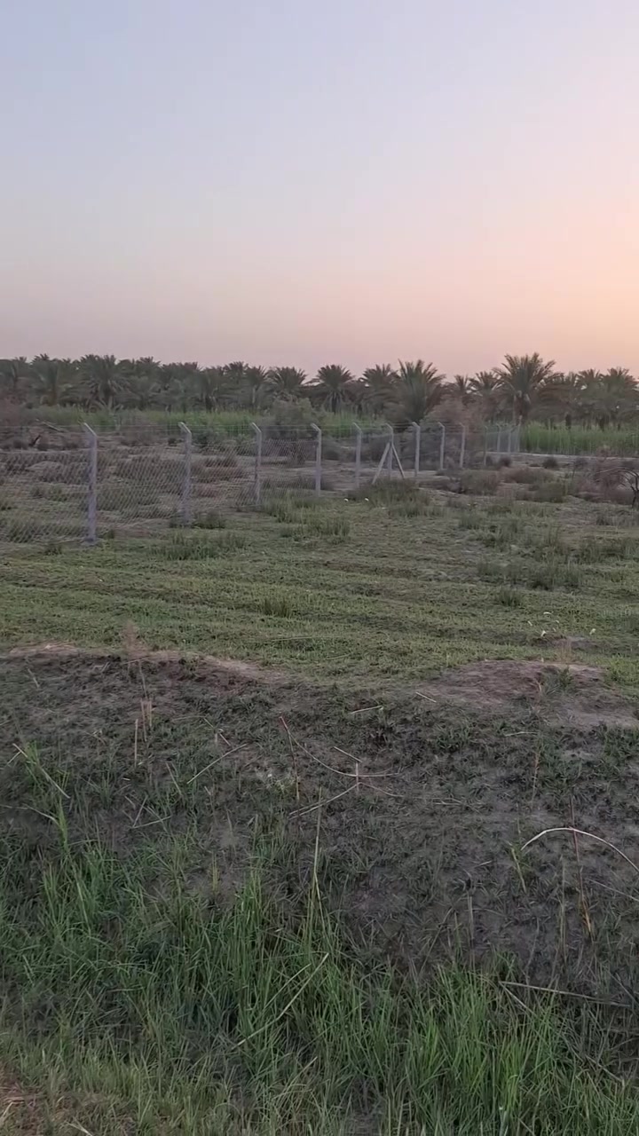 السلام عليكم للبيع ارض زراعي ٣دوانم طابوزراعي سند٢٥ كافت الخدمات بابل حله النيل قرب الانضباط استفسار ***********
