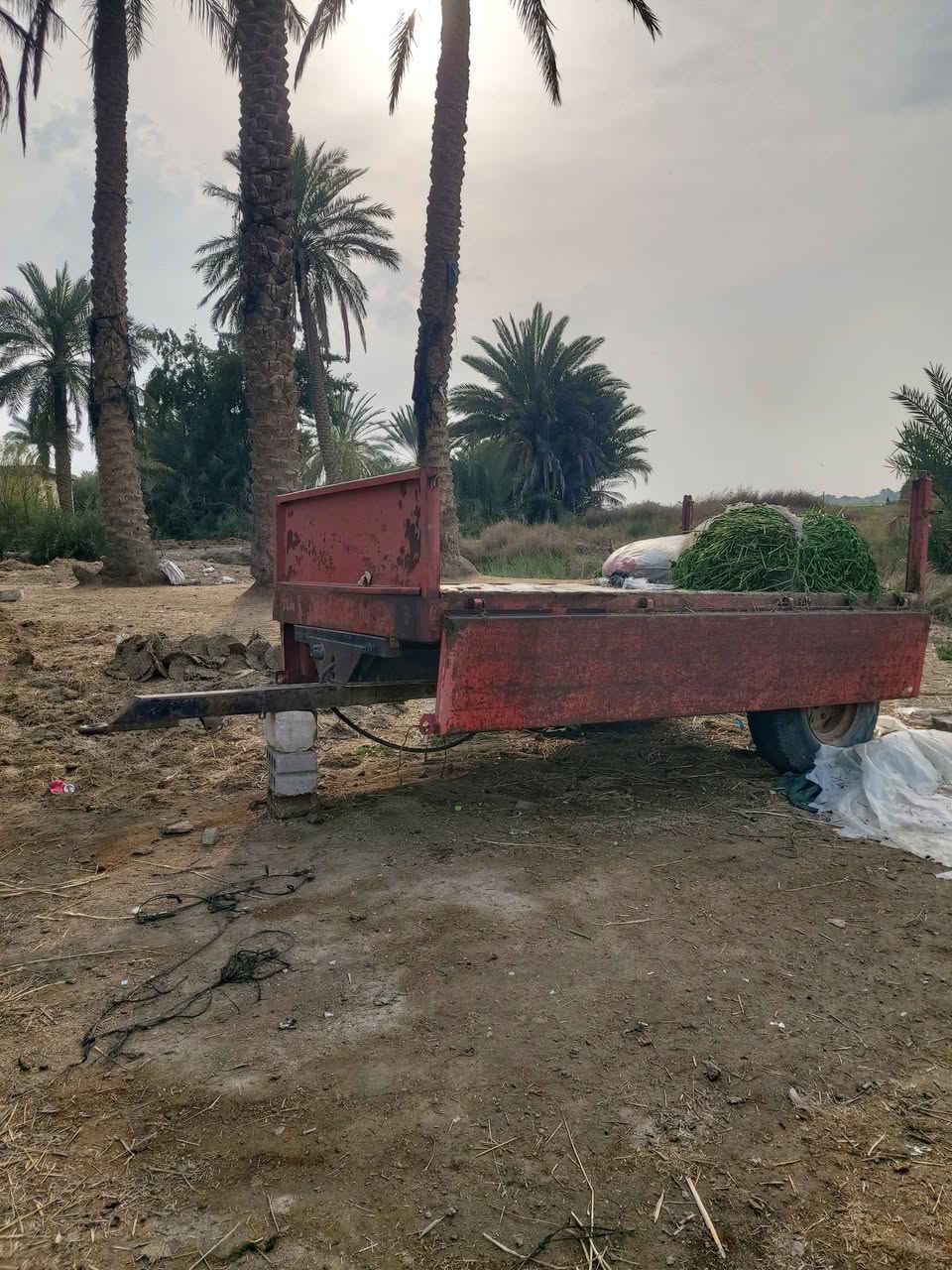 السلام عليكم عربانه سكندريه وفدان ومعدلان  سكندريه نضيفات  ***********
