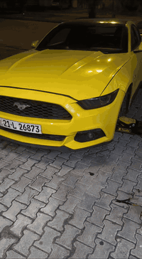 يابه شلون مداريكم اني 
ركزلي عل جمال كشافات الموستنك 2015-2016-2017 🔥

📛متواجد كل ايام الاسبوع من الساعه 10صباحاا ولغايه الساعة 2 ليلااا📛
🟠عنوان المحل👈🏻 بغداد/الشعب/حي التجار/شارع مدرسة بلقيس
🟢توصيل متوفر لكل محافظات العراق🚚
🟣 بغداد 5,000الف
🟤محافظات 6,000الف
☎️***********☎️

#ياسر_سبورت #موستنك #اكسبلور #mustang #fyp #جيتي #كماليات_سيارات #ترند #كشافات #كشافات_ليد #ford_mustang #fordmustang #ford #mustanglovers
