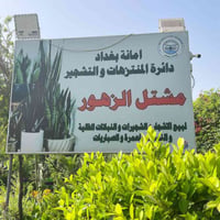 مشتل زيونة • مبيعات مسائية • نباتات وزهور
