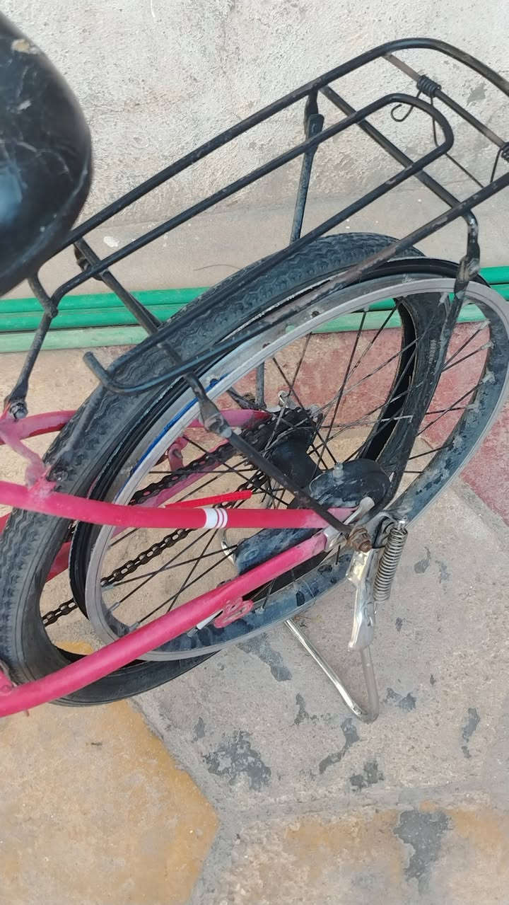 سلام عليكم باسكل لبيع حجم 20 عايزه جوب خلفي
سعر 30 بيه مجال بيك خير تدلل تواصل خاص 👍🏻


**إذا كنت صاحب هذا الإعلان وتريد حذفه لأي سبب، رجاءا أرسل رسالة إلى الدعم الفني**