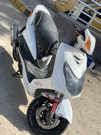 سكنس فحل نوزل خطين للبيع او مراوس حسب القناعه نوزل8زروف شلعه ومعدل طير...