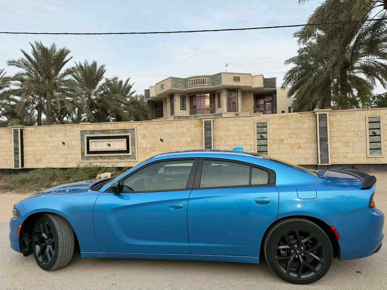 DODGE CHARGER  2023
سعة المحرك :- 3.6vvt

المسافة المقطوعه :- 34000mi 

اللون :- بحري

مرقم :- اربيل بأسمي 

 موديل :- 2023  

 

الموصفات

شاشه كبيره 

فرش مخمل  اسود 

كراسي كهرباء 

17 انش   

تشغيل عن بعد

حساس خلفي 

فتحه

كشاف 

تحكم سرعه 

تحكم مسجل في الطاره

كامره

 

والمزيد من الاضافات 

 

🚗🚗   حادث السياره كما موضح بالصور    🚗🚗

بابل _طريق حلة _بغداد

السعر257$

******

للاستفسار

***********
