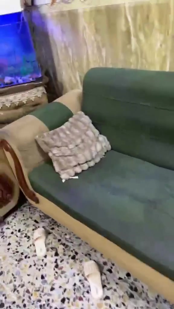 تخم 10 مقاعد خشبه قوي فقط قماشه تعبان قفله 70 الشراي ع خاص مكانه المشتل


**إذا كنت صاحب هذا الإعلان وتريد حذفه لأي سبب، رجاءا أرسل رسالة إلى الدعم الفني**