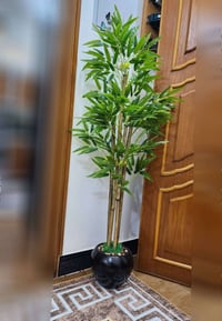 بامبو صناعي • ١٦٥سم • البصرة