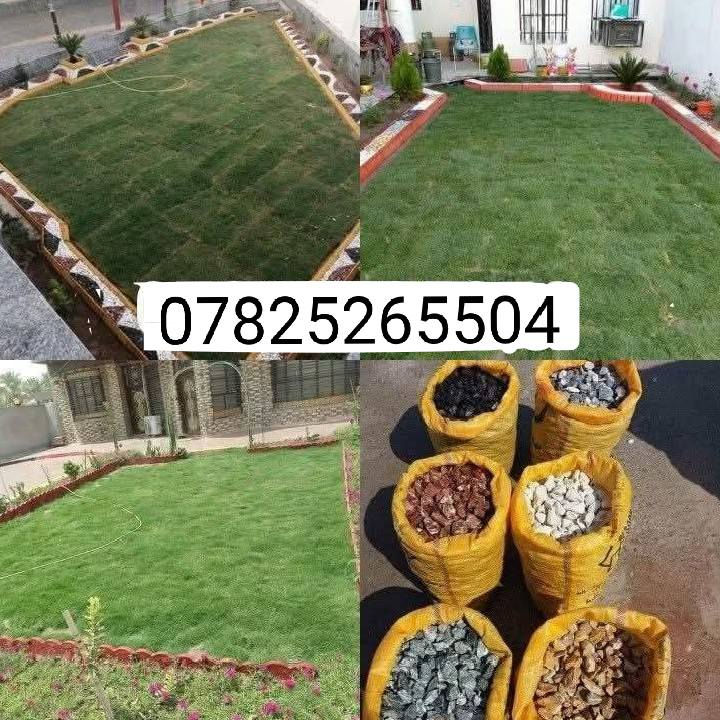 هندسة وتصميم الحدائق داخل الرمادي العمل حسب طلب للاستفسار اكثر اتصل على الرقم  *********** واتساب
