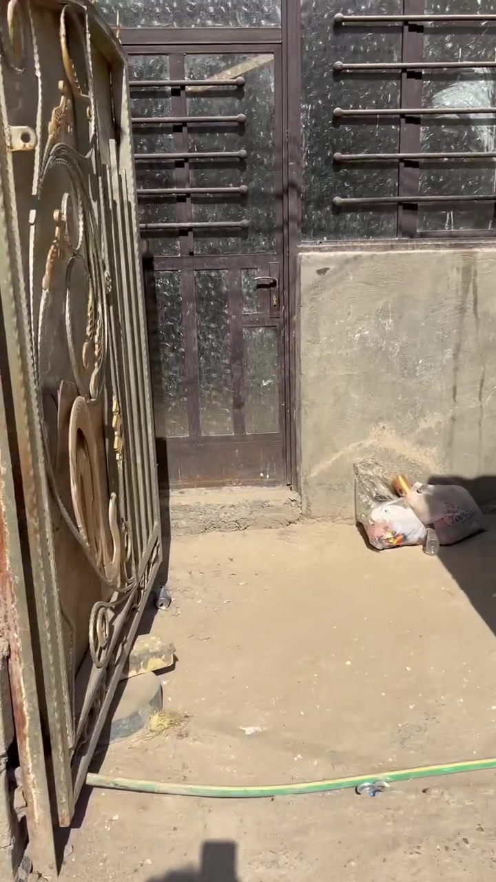 بيت ٨٠م بلقصد م البيع بناء طابوك دراجه اولى شارع الجواهري لأفرع كرادين كامله خدمات
هاتف ***********
