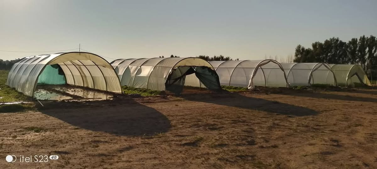 هەیکەلی ئاسنی ٦بە٤، بەردەستە بە تاک و کۆ بەهەرزانترین  نرخ و باشترین کوالێتی وە گەیاندنێکی خێرا و هەرزان

🔸 بەکاردێت بۆ بواری مەڕ و ماڵات🐐🐑
🔹 بەکاردێت بۆ بواری کشتوکاڵ🌾☘️🌷
🔸 بەکاردێت وەک گەراجی سەیارە🚗
🔹بەکاردێت بۆ ناو باخ و دەشت و دەر وەک شوێنی مانەوە و کۆگا 🏠☔
🔸بەکاردێت بۆ ڕاگرتنی پەلەوەر

درێژی بەپێی خواستە و پانی جێگیرە ، قەوسەکان دوو پارچەن و دژە ژەنگن و هەمووی تێک هەڵکێشە و دانانی خێرایە
گەیاندن بە زووترین کات ، هەر ئێستا پەیوەندی بکەن
*********** viber & whatsapp
***********
***********
