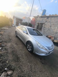 مراوس حسب القناعه • ٥ميل • بصره